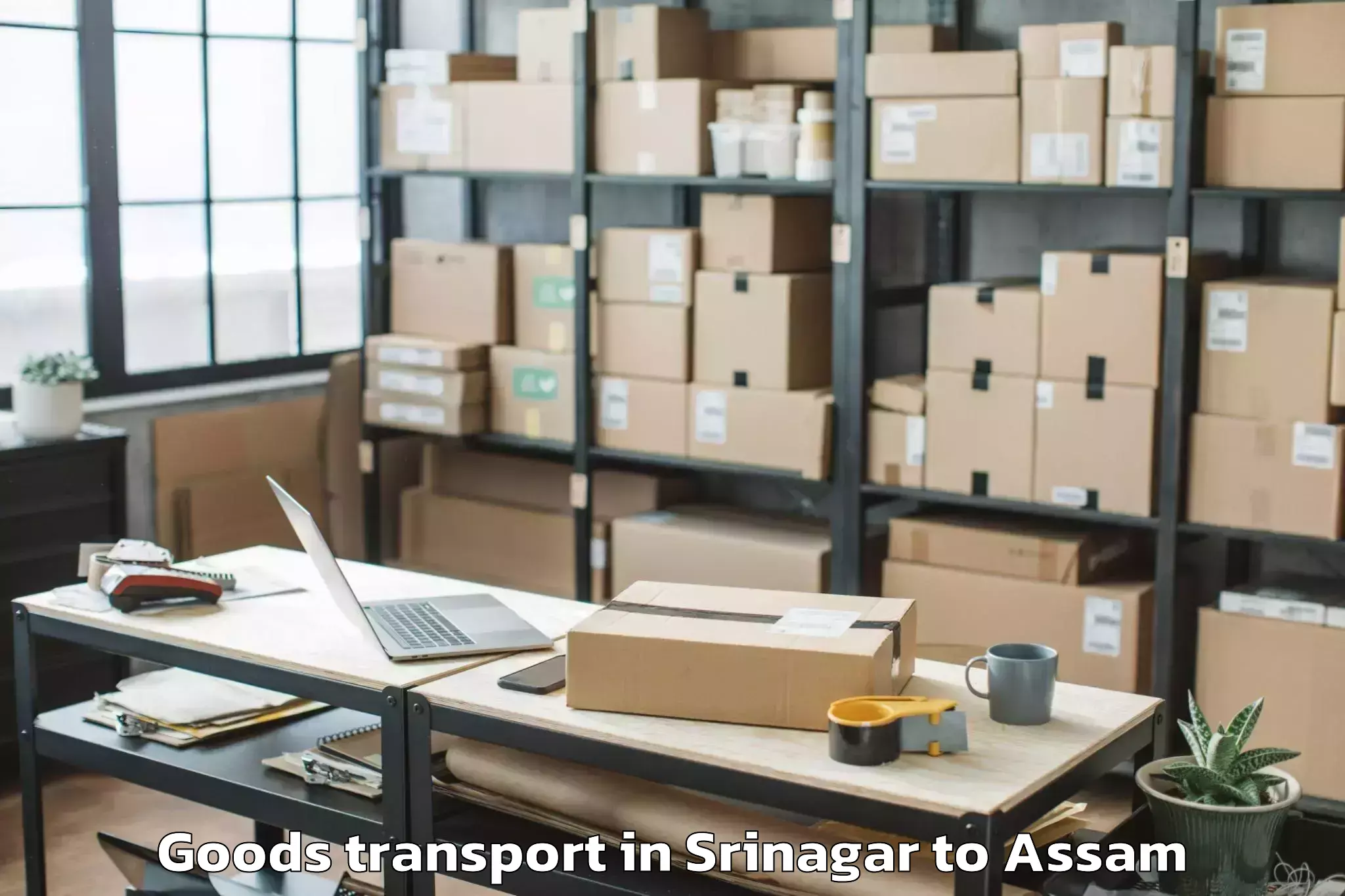 Expert Srinagar to Karimganj Goods Transport